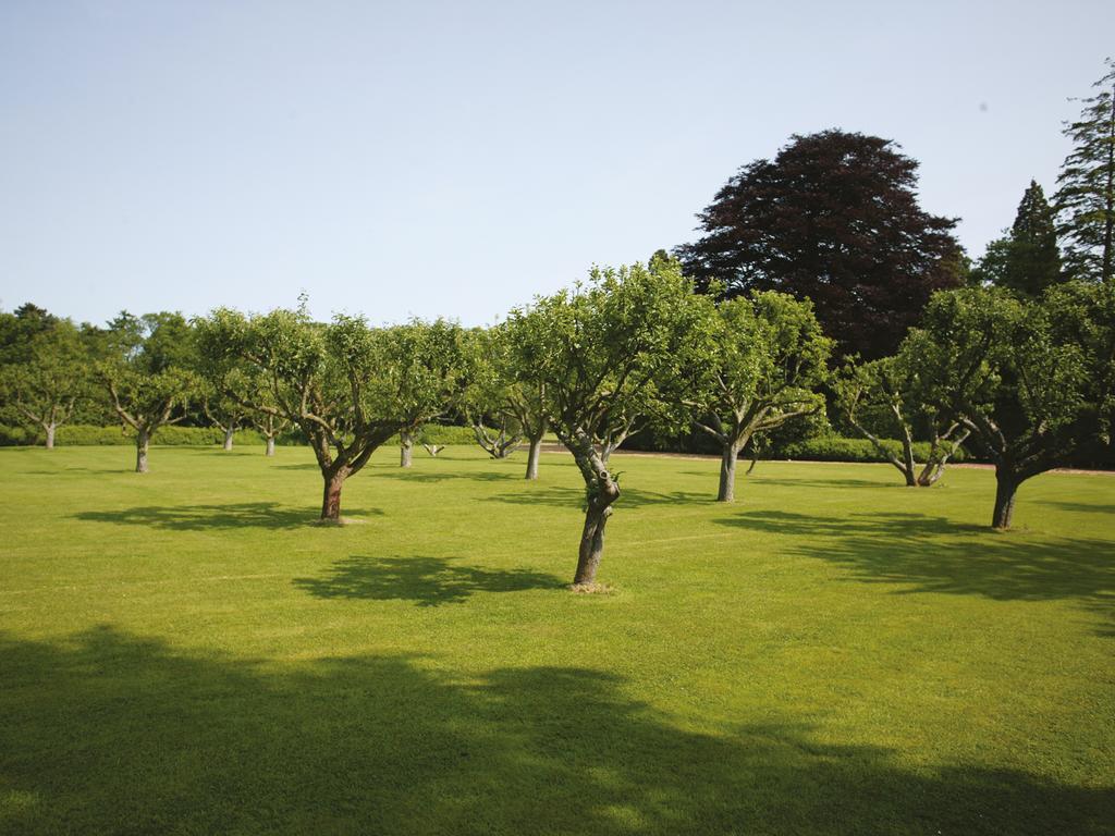 Woodside Hotel, Kenilworth - Warwick エクステリア 写真